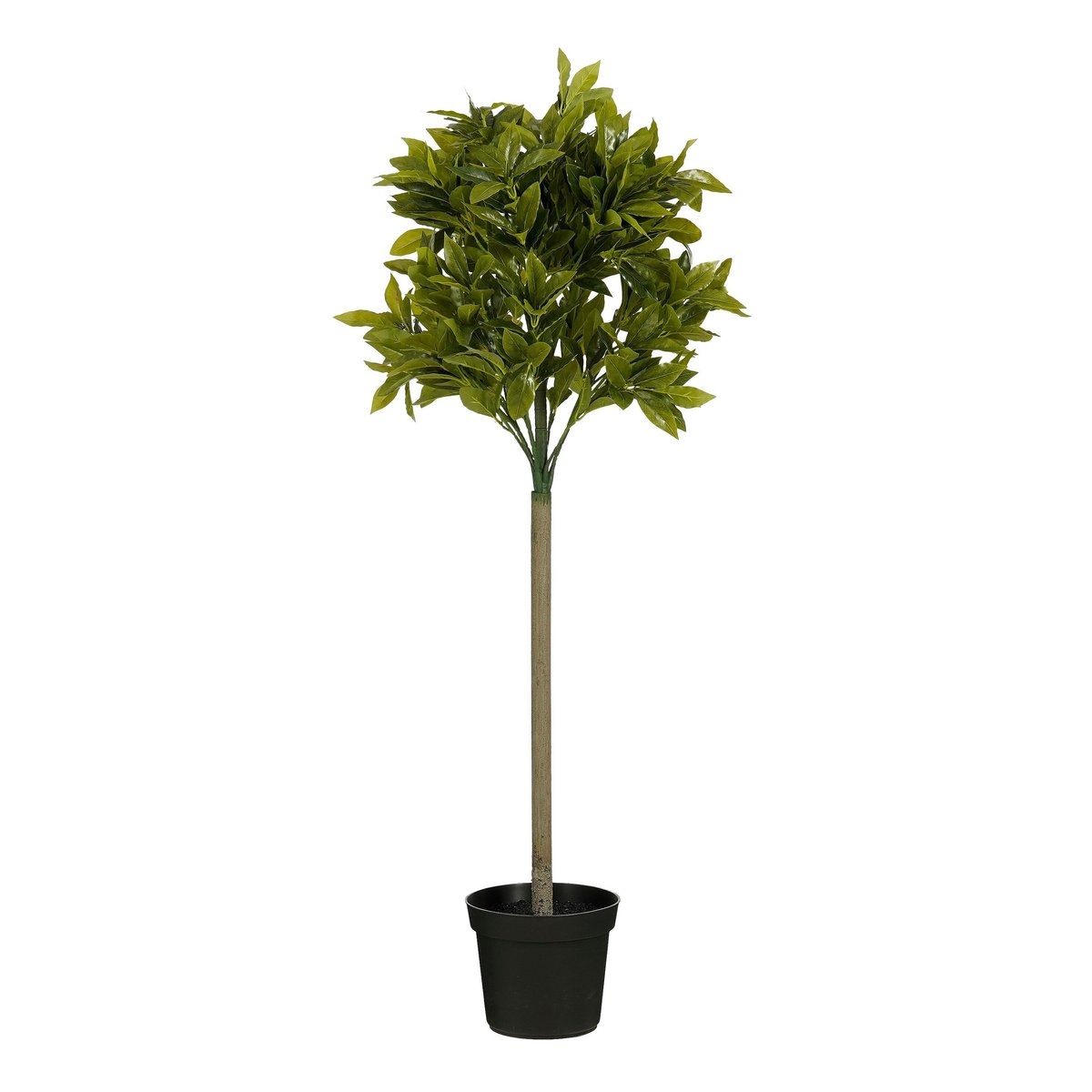 Plante artificielle LAUREL vert, MICA DECORATIONS