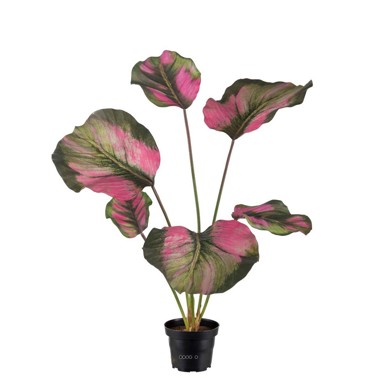Calathea artificielle en pot, grandes feuill vert-rose, ARTIFICIELLES