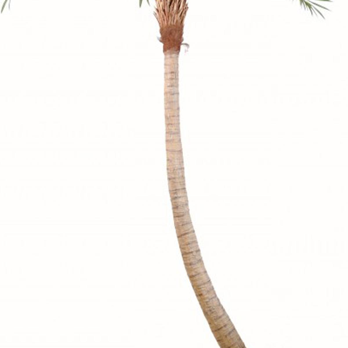 Palmier Coco artificiel H 270 cm 10 palmes vert, ARTIFICIELLES