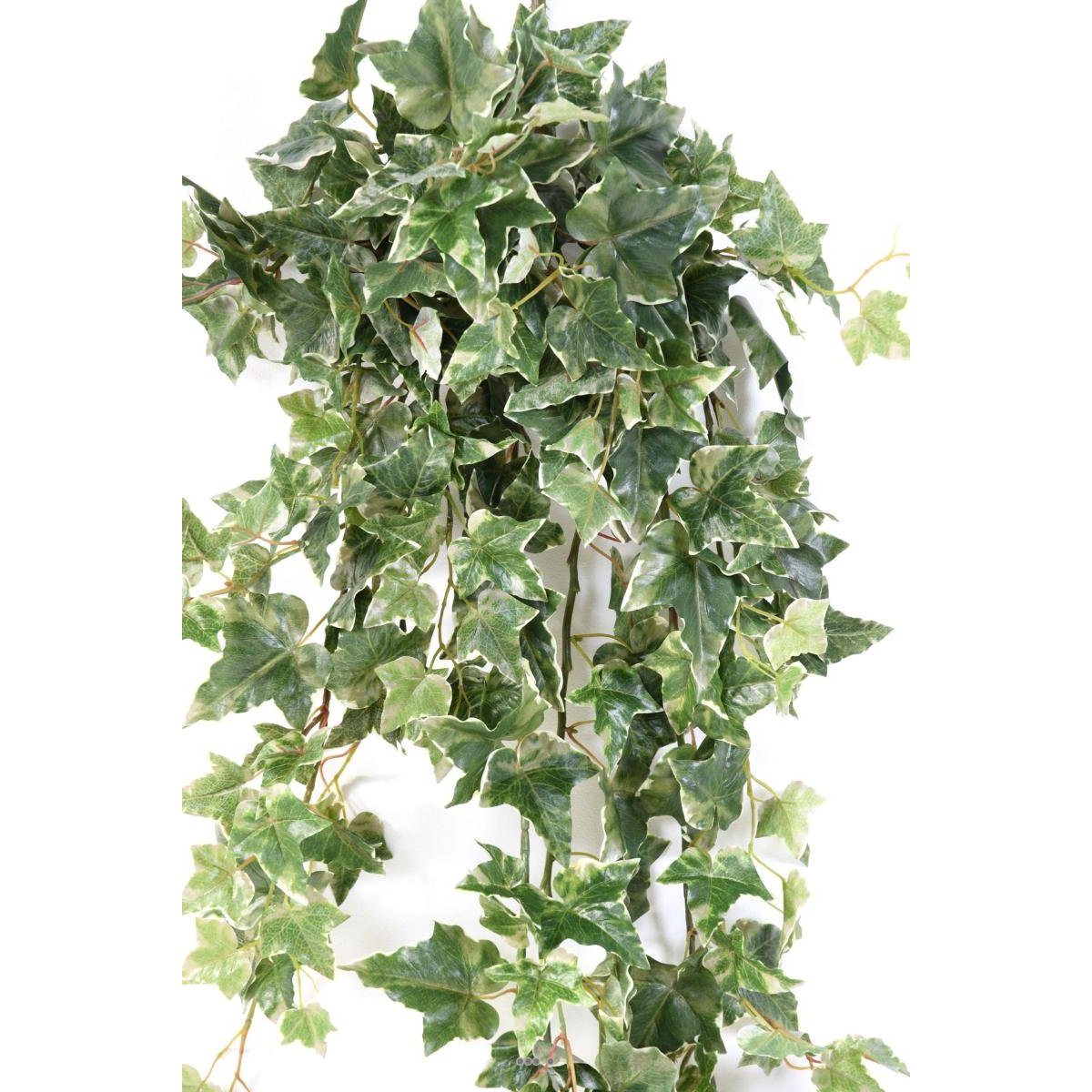 Lierre artificiel Hedera Helix en chute L 120 blanc-vert, ARTIFICIELLES