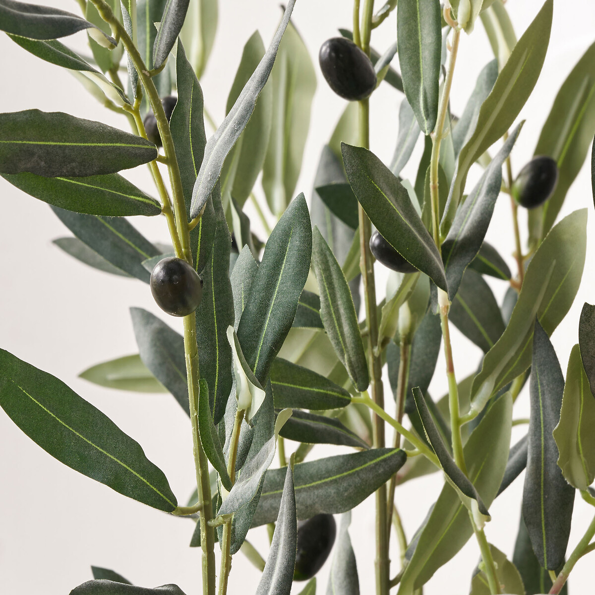 150cm Olive Tree in Pot green, SO'HOME