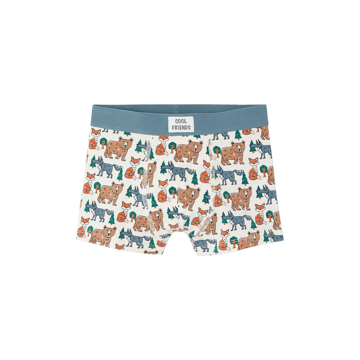 Lot de 5 boxers beige, VERTBAUDET