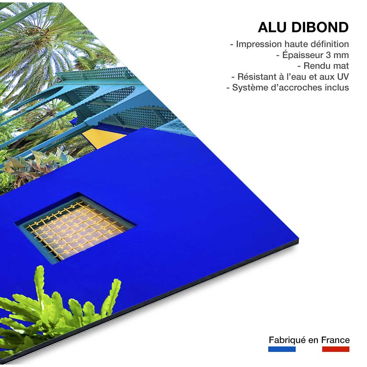 Tableau jardin majorelle tableau alu dibond, HEXOA