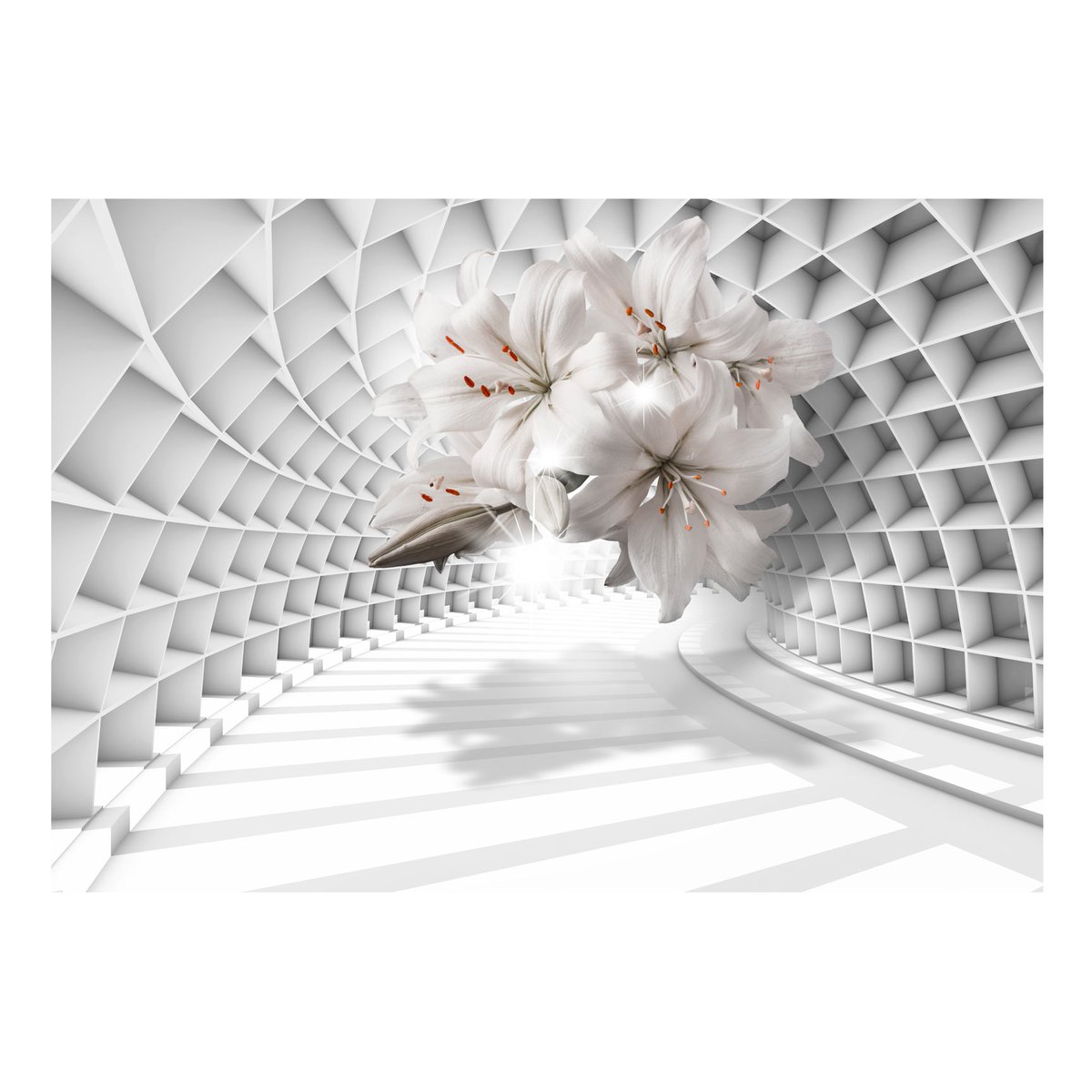 Papier peint intissé panoramique 3D et Perspective Flowers in the Tunnel blanc, EDEN