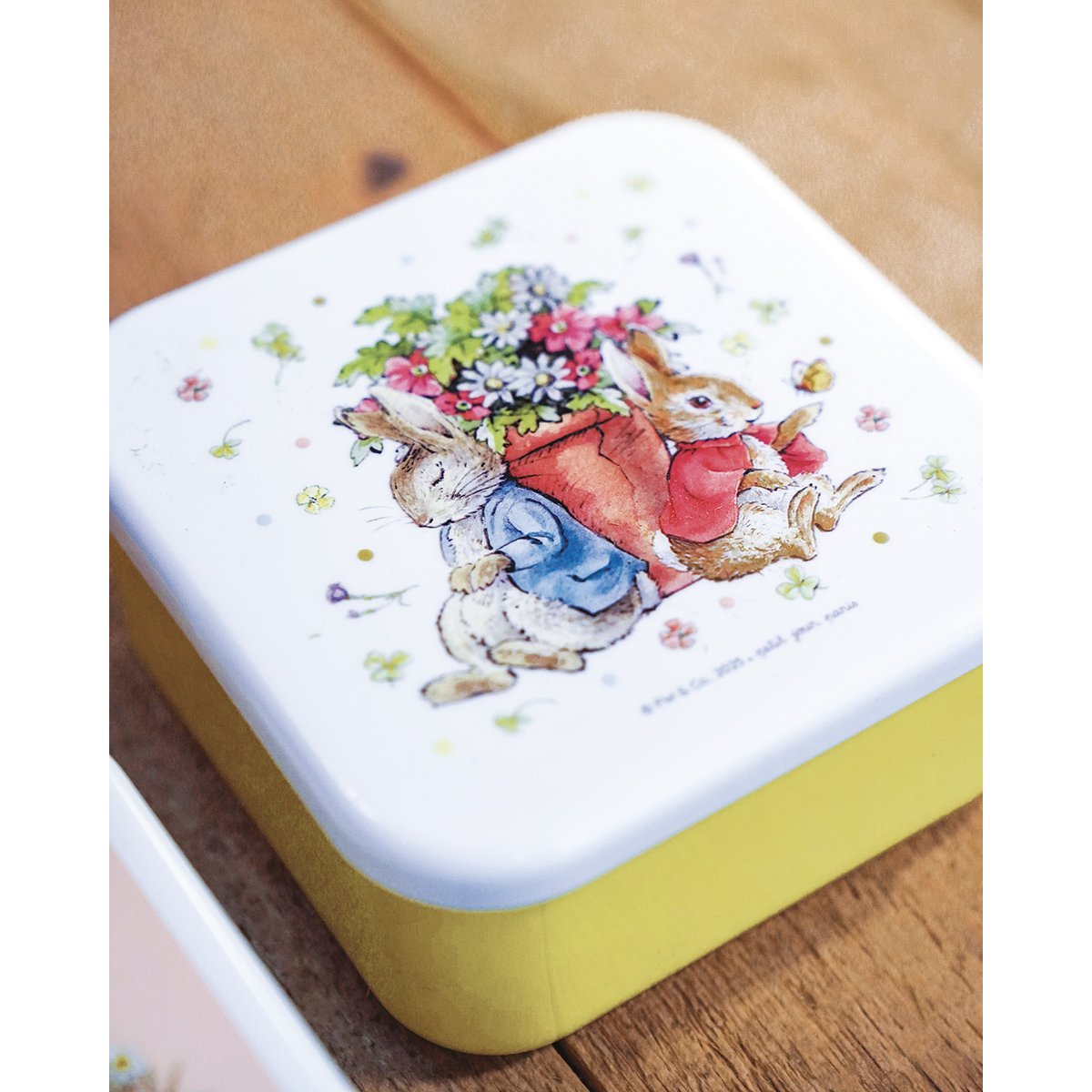 Set de 3 Lunch Box PIERRE LAPIN bleu, vert, jaune., PETIT JOUR