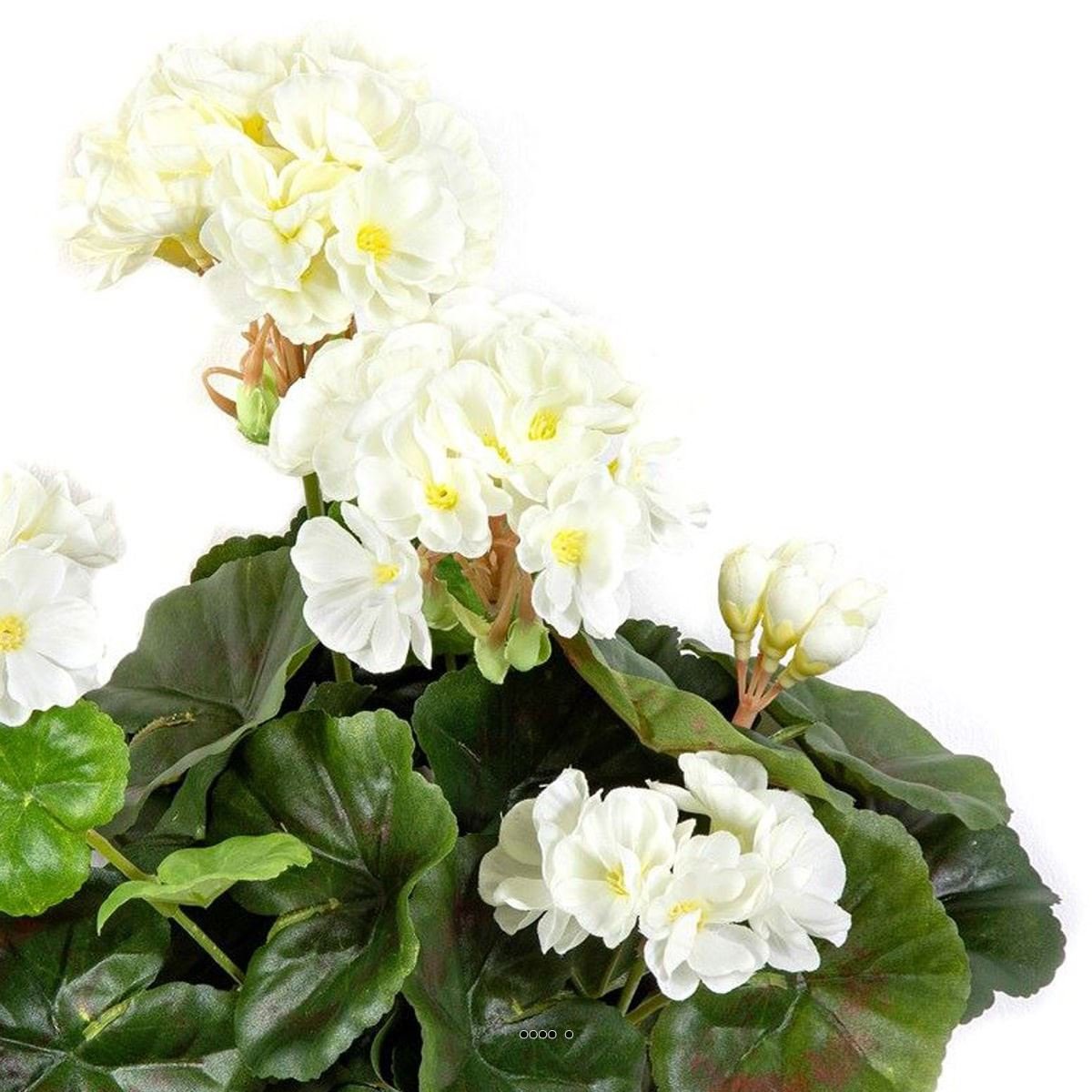 Superbe géranium artificiel en piquet H 30 cm crème, ARTIFICIELLES
