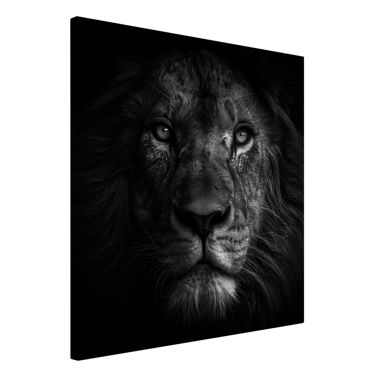 Tableau Sur Toile Visage Du Lion ANIMAUX tableaux sur toile-noir & blanc, CEANOTHE