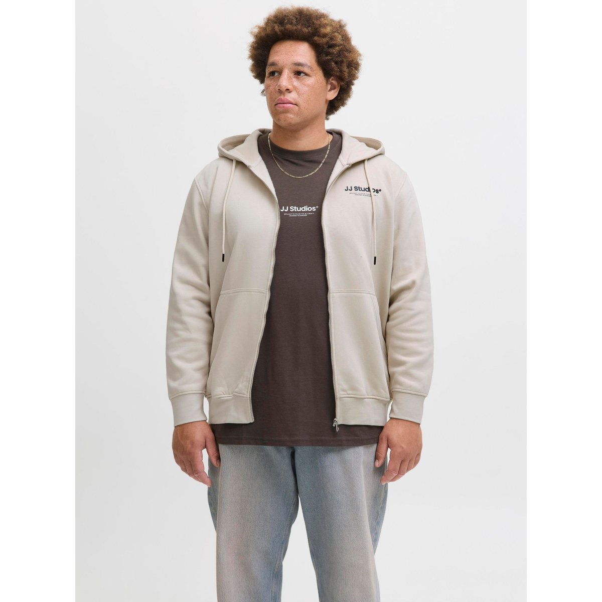 Sweat À Capuche Zippé moonbeam, JACK & JONES