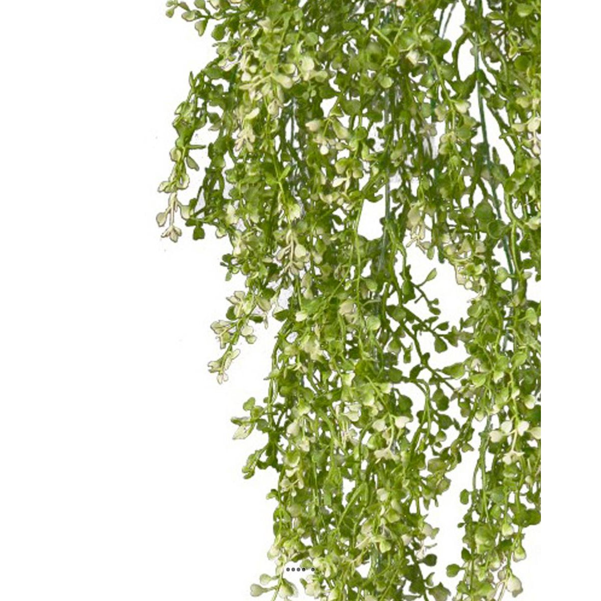Chute de crassula artificiel H 85 cm v002239, ARTIFICIELLES