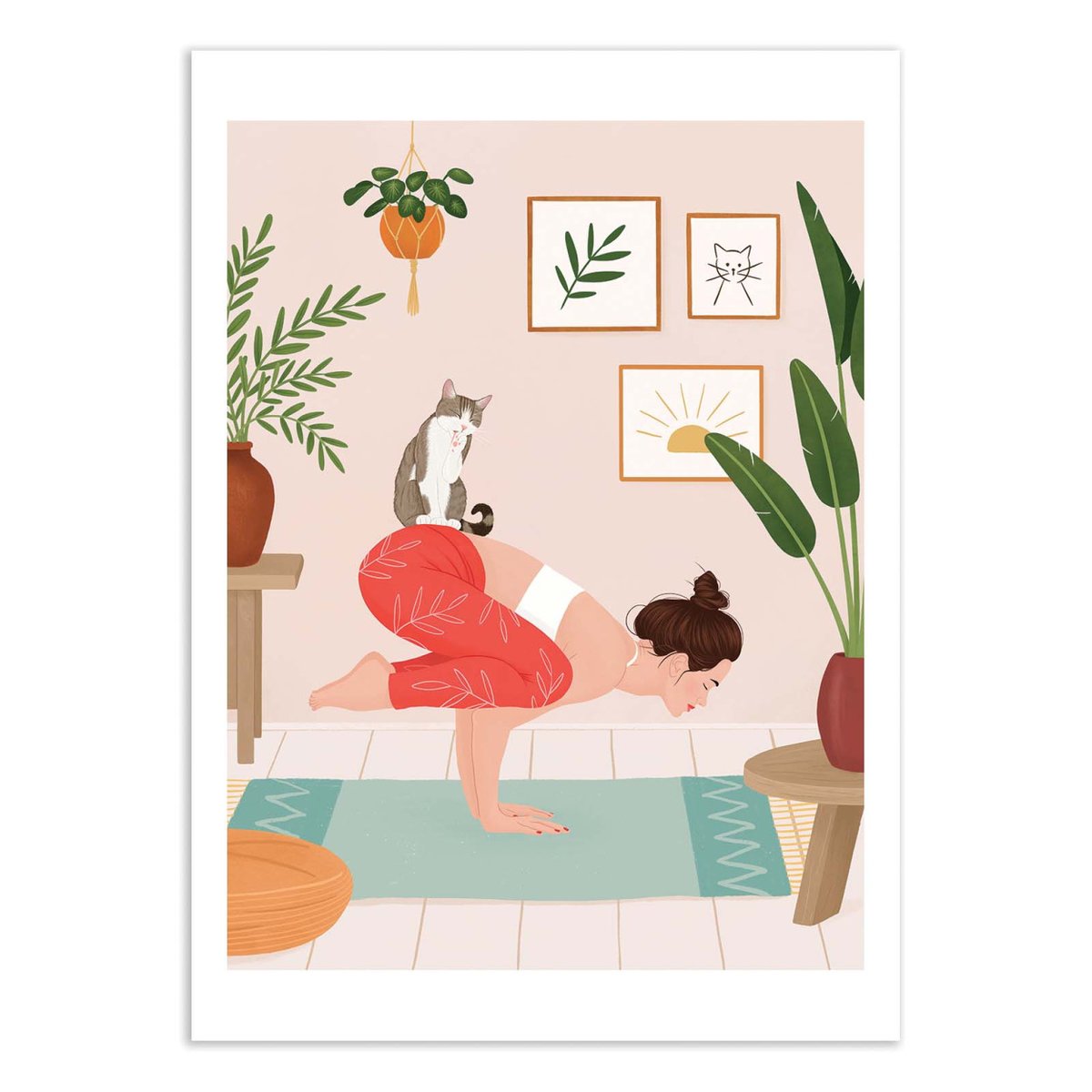 Affiche d'art - Cat Yoga - Petra Holikova couleur unique, WALL EDITIONS