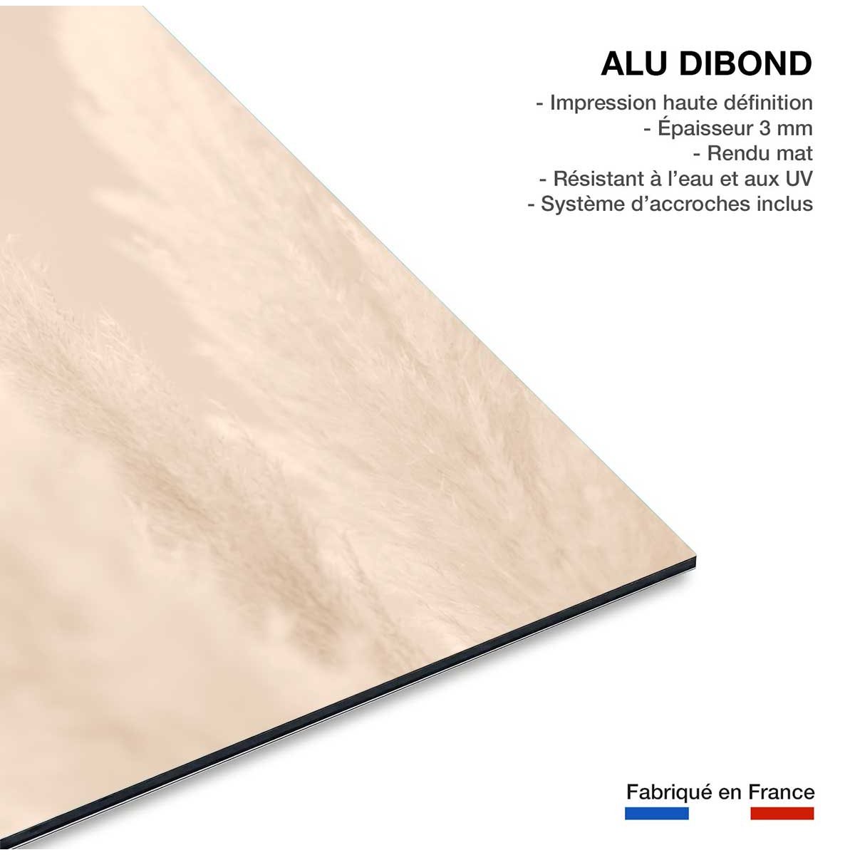 Tableau scandi fleurs de roseaux tableau alu dibond, HEXOA