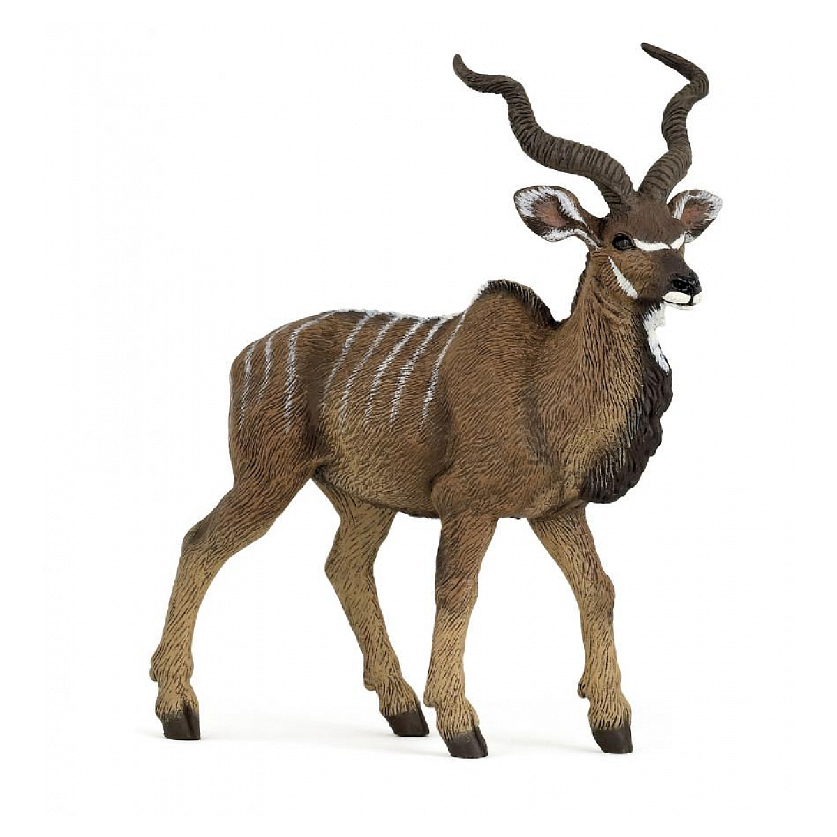 Antilope Koudou marron, PAPO