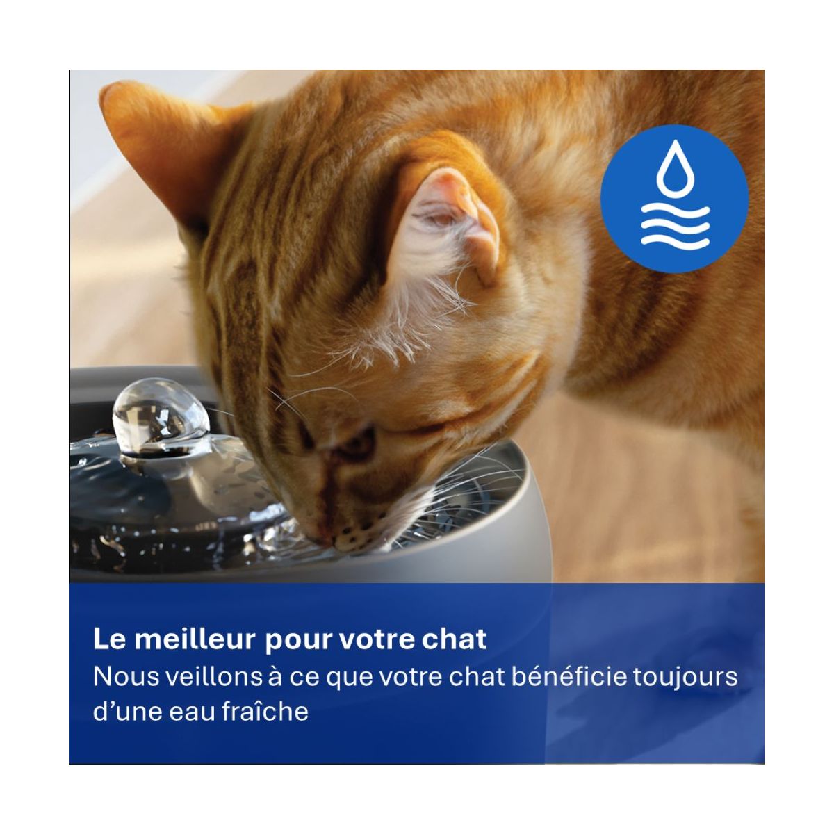 Filtre à eau PAW0010/01 x3 pour fontaine Philips Série Pet couleur unique, PHILIPS