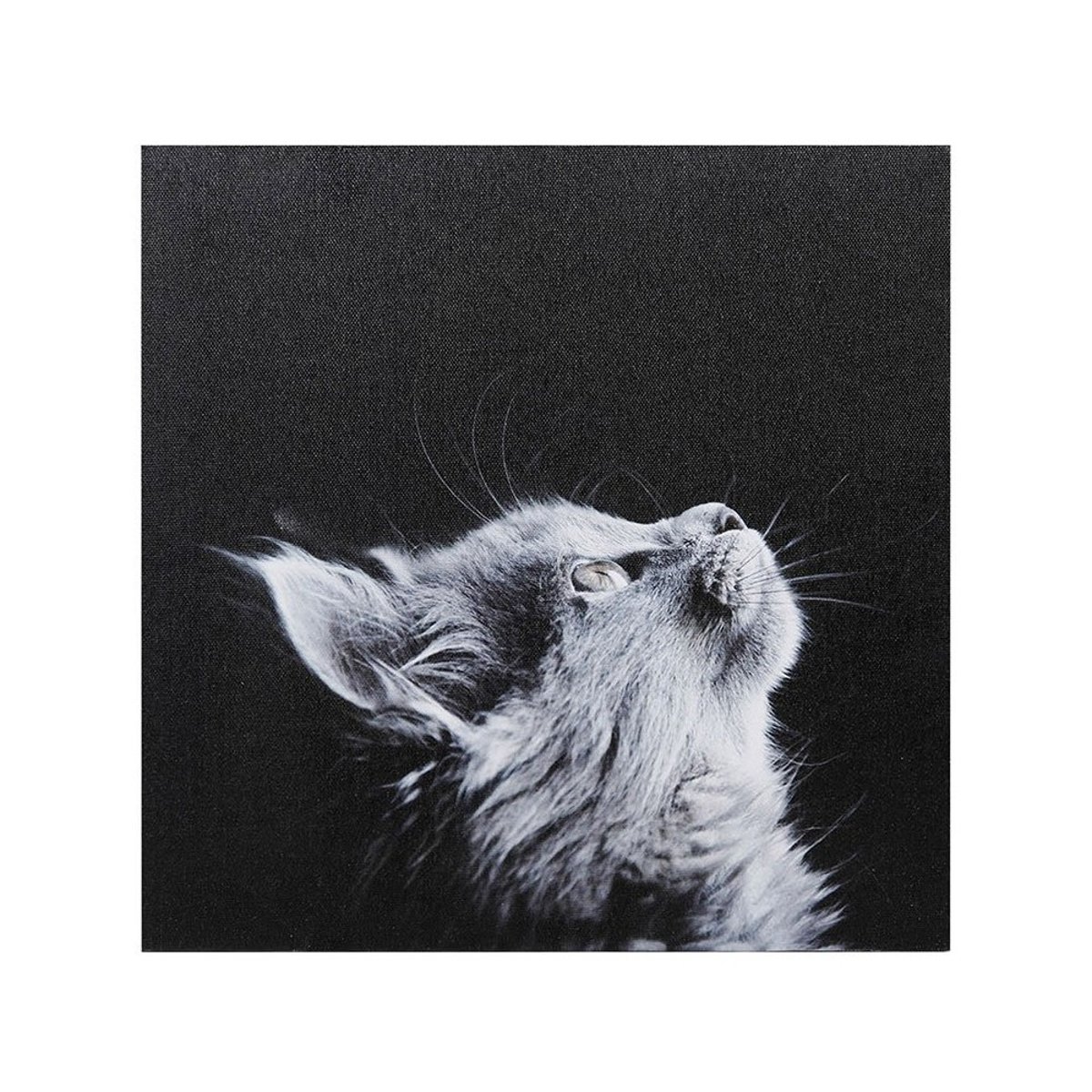 Ensemble de 4 tableaux sur toile imprimée 28x28  Funny gris, DECORATIE
