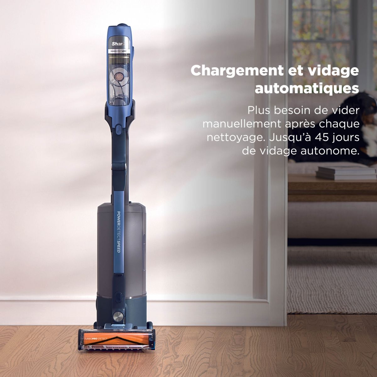 Aspirateur balai PowerDetect Speed IA3241FRT couleur unique, SHARK