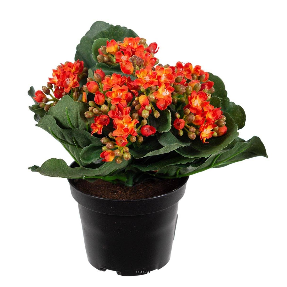 Kalanchoé artificiel en pot H20cm adorable e orange clair, ARTIFICIELLES