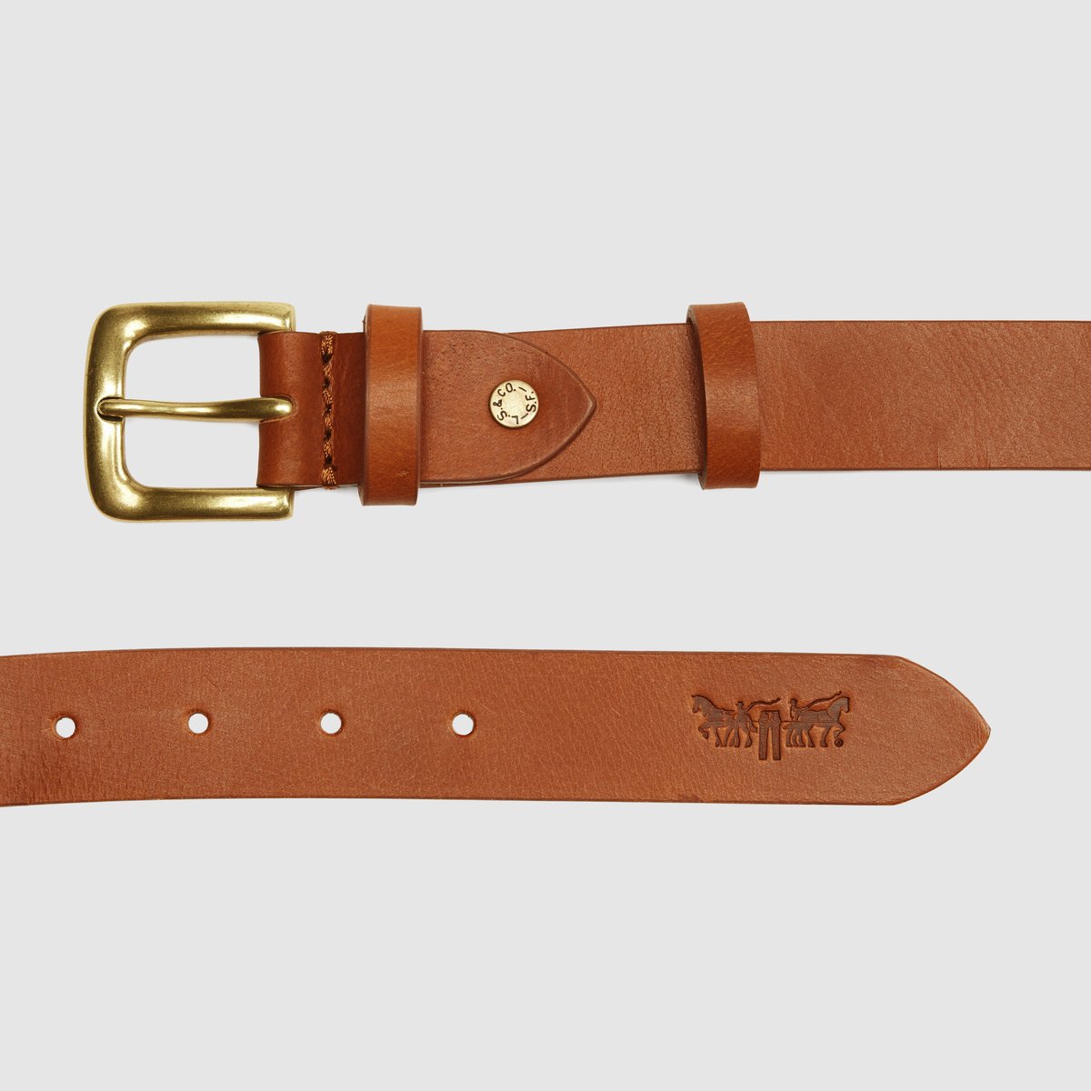 Ceinture Addison marron - mocha bisque, LEVI'S