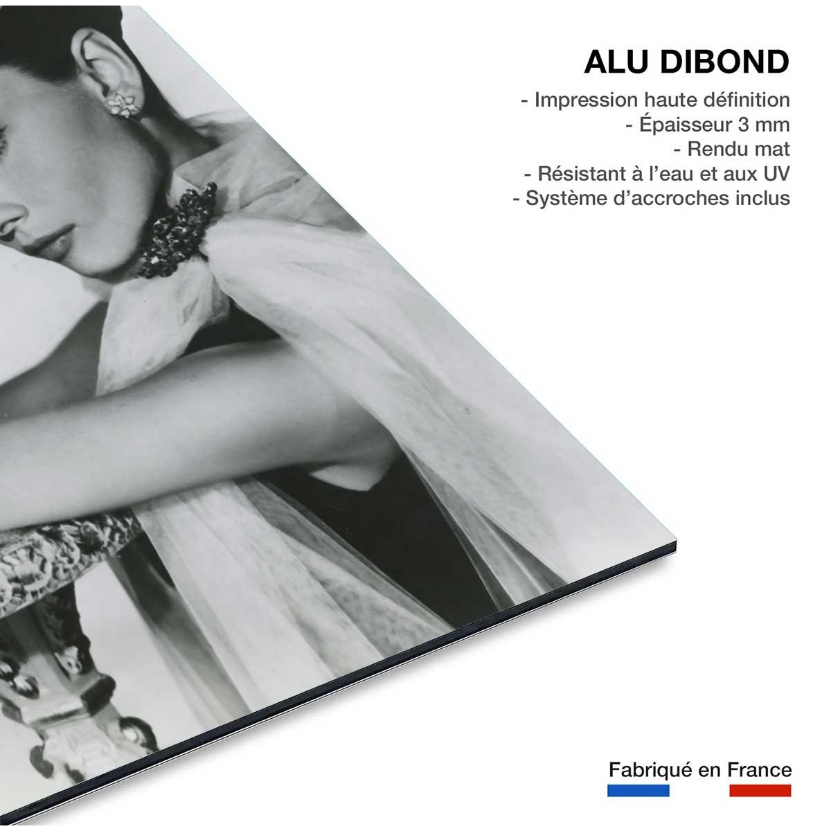 Tableau connu Audrey Hepburn tableau alu dibond, HEXOA