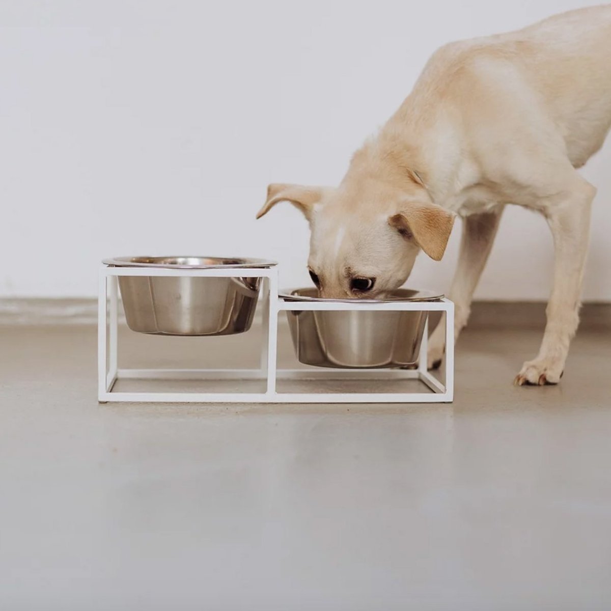 Gamelle chien surélevée socle métal, KUM blanc, BAGANE