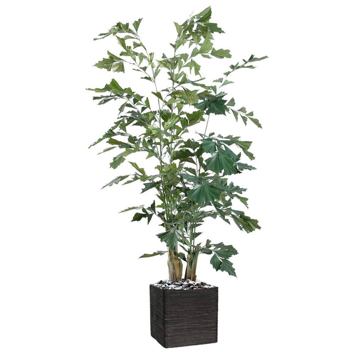 Palmier Caryota Artificiel H 190 cm L 80 cm vert, ARTIFICIELLES