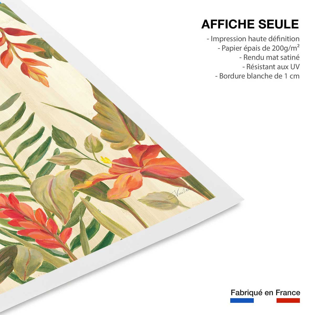 Affiche Oiseaux du paradis en aquarelle affiche seule, HEXOA