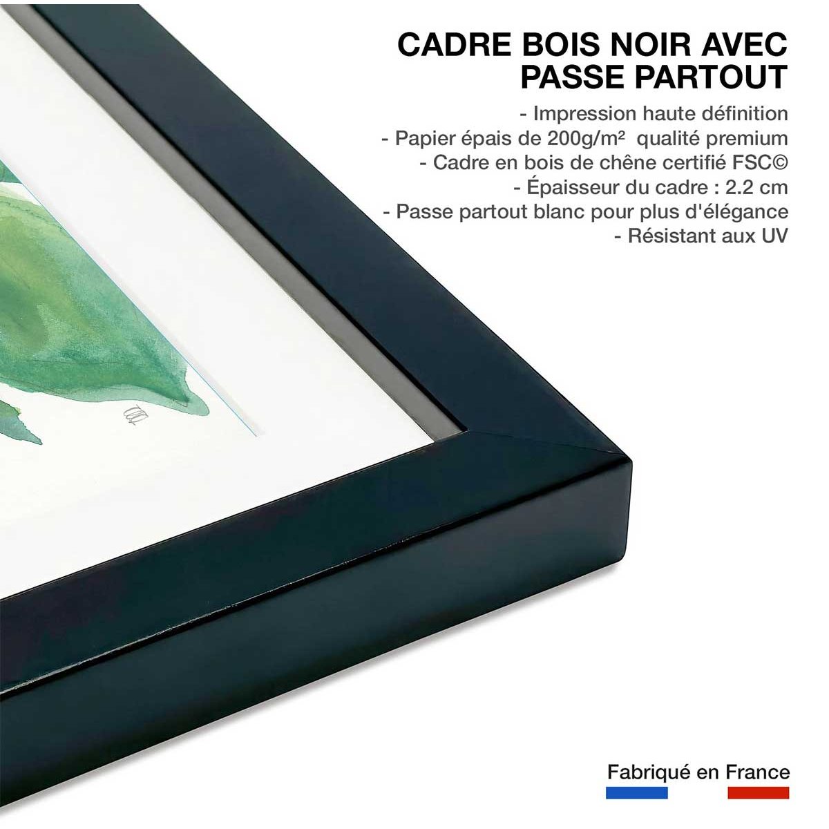Affiche Plante monstera watercolor affiche + cadre en bois - noir, HEXOA
