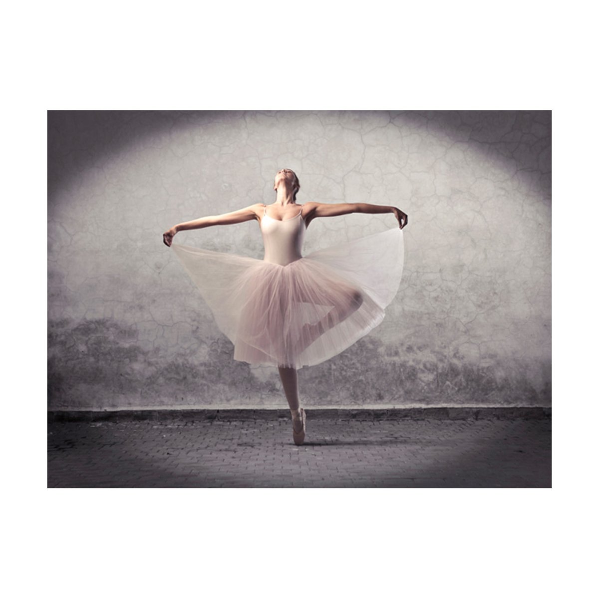 Papier peint intissé panoramique Hobby Ballet - poésie sans mots blanc, EDEN