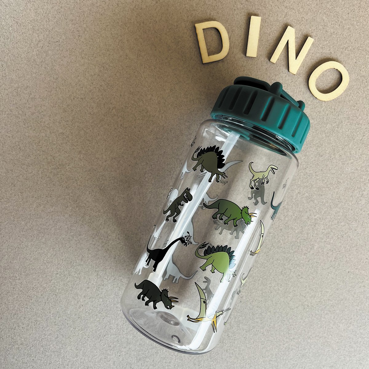 Gourde LES DINOSAURES vert, PETIT JOUR
