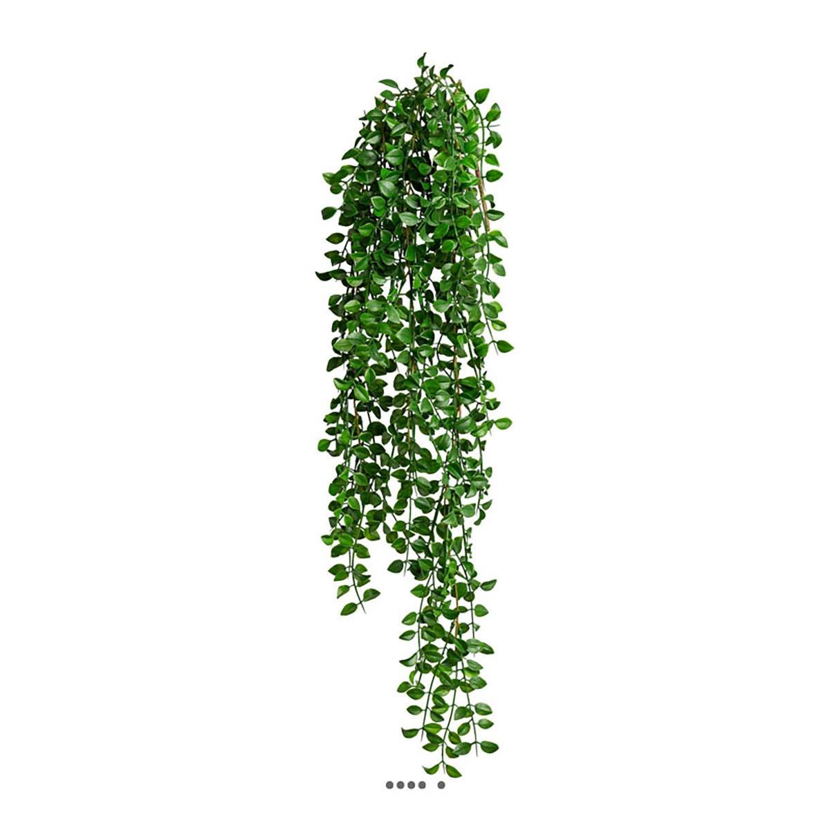 Chute de columnea artificiel L 86 cm l 23 cm v002239, ARTIFICIELLES