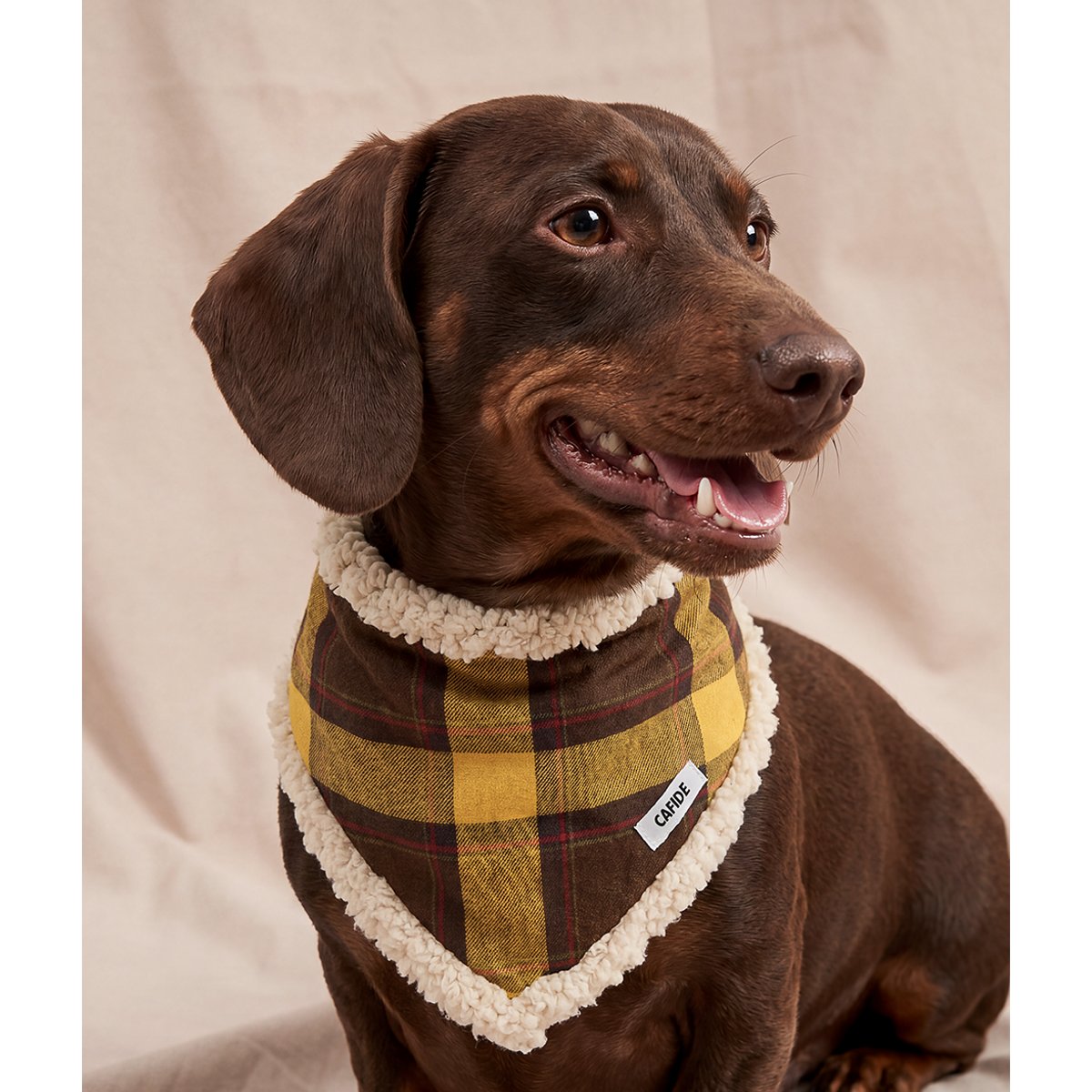 Bandana tartan moutarde pour chien, Nata jaune, CAFIDE