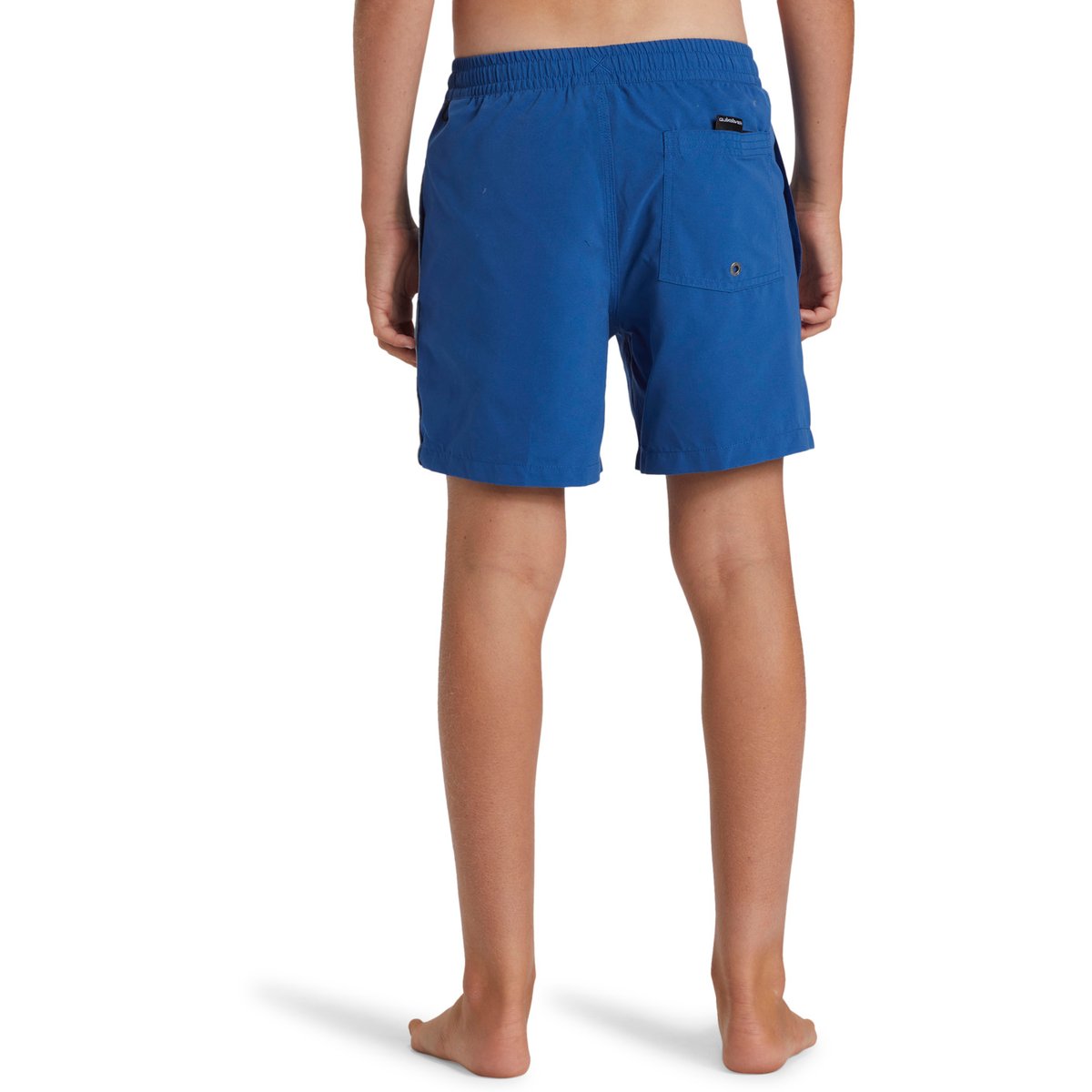Short de bain EVERYDAY VERT VOLLEY bleu monaco blue, QUIKSILVER