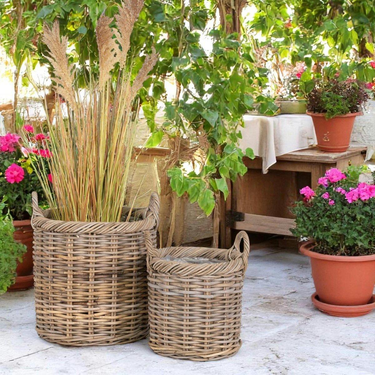 Cache-pot haut pour plantes ou graminées (lot de 2) beige, PIER IMPORT