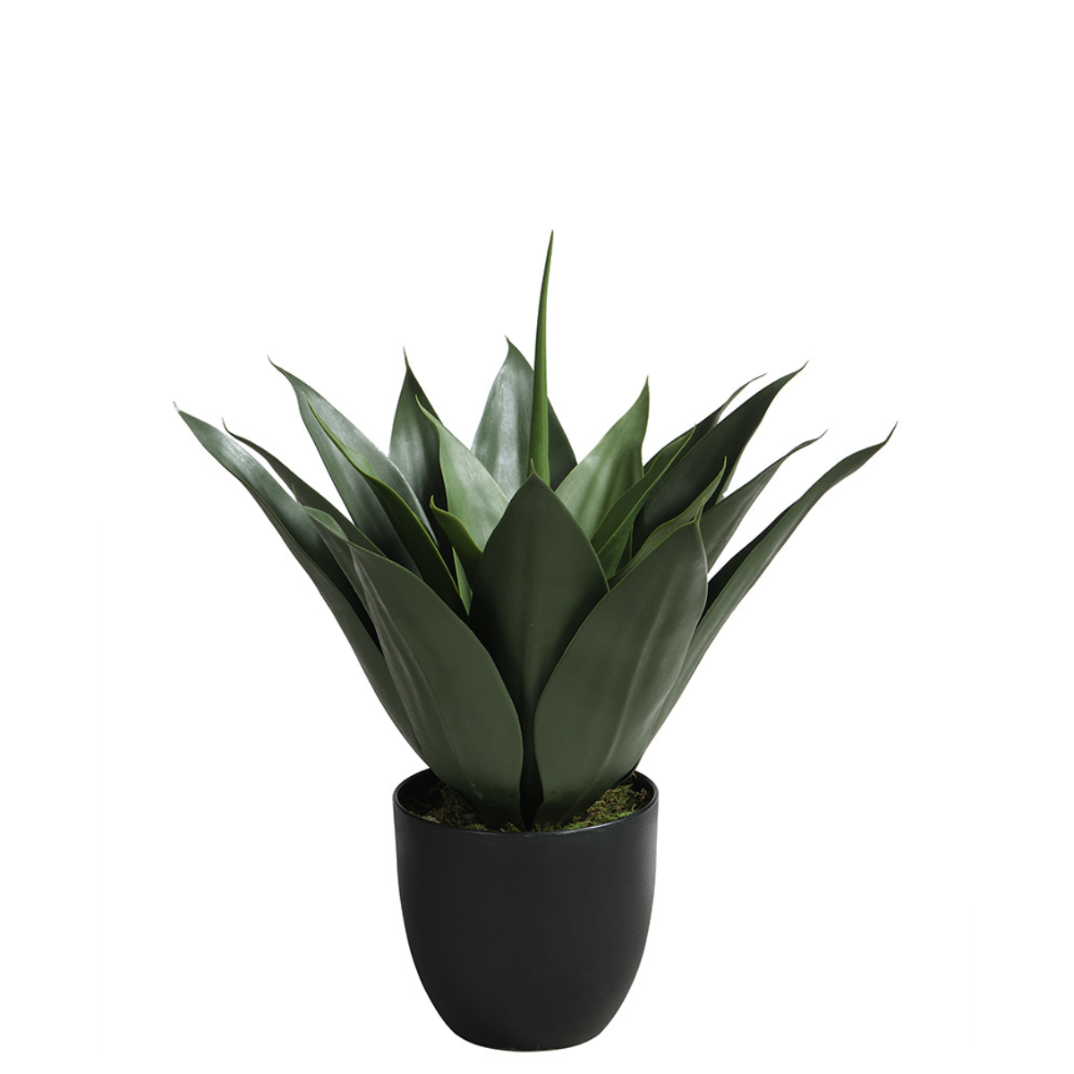 Agave en pot artificiel H51 vert, SIA DECO