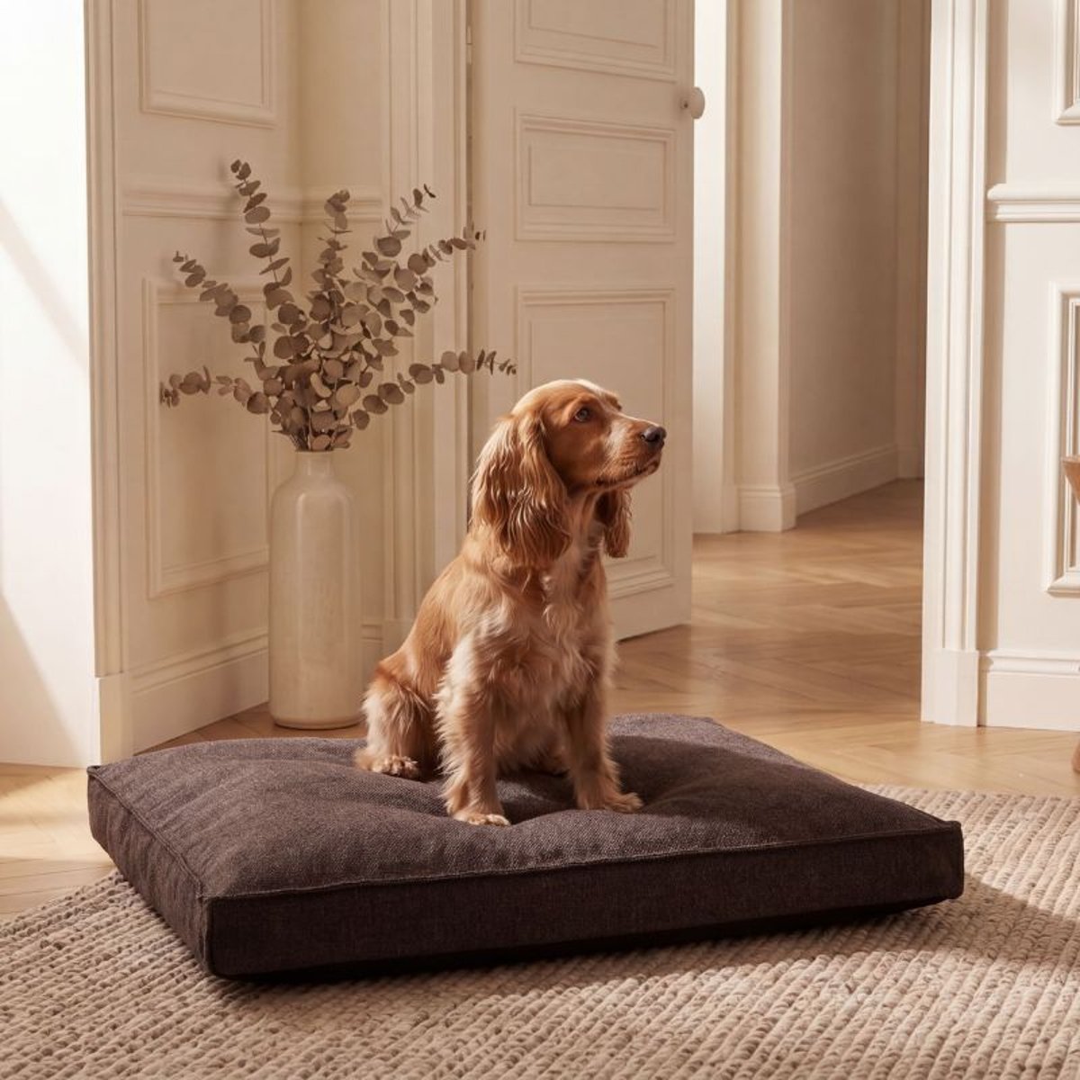 Lit chien orthopédique en tissu, DAUPHINE marron chocolat, BAGANE