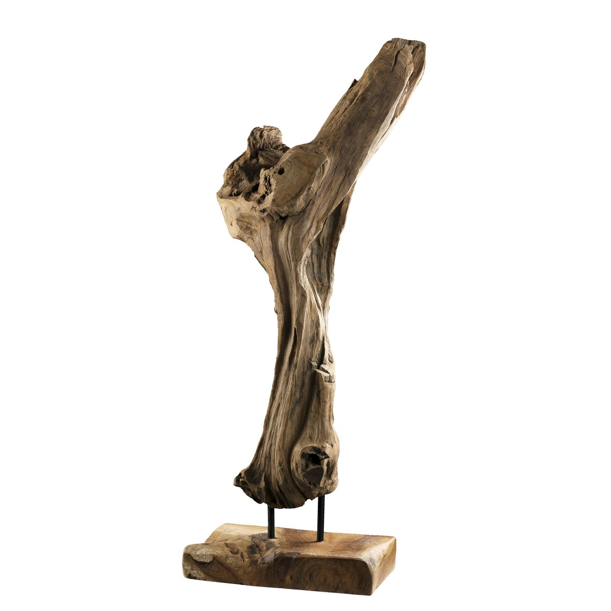 Racine de teck décorative POLO bois naturel, PIER IMPORT