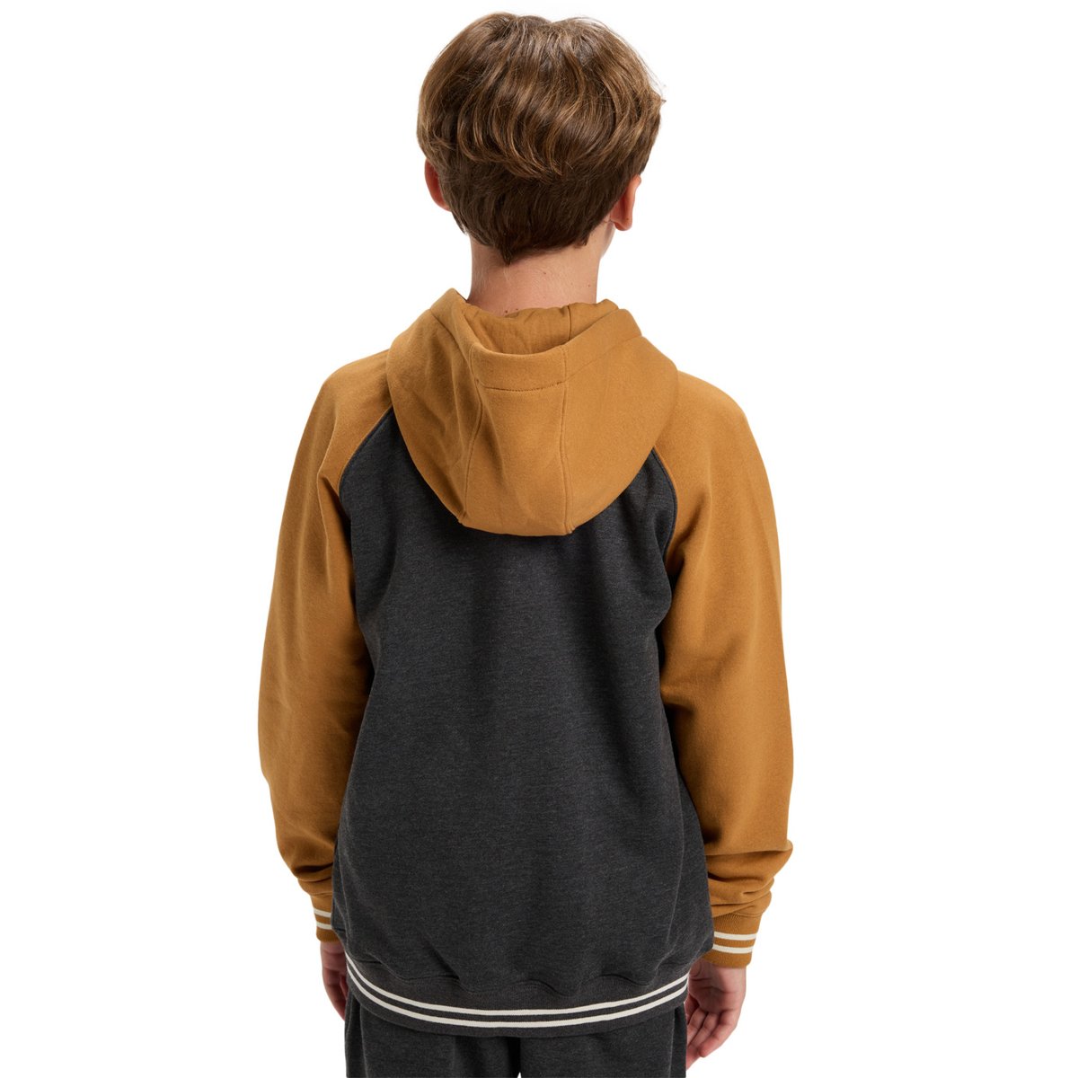Sweat à capuche zippé KNOWLEDGE AREA marron almond, QUIKSILVER