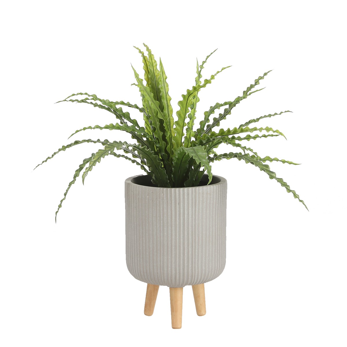 Plante artificielle ASPLENIUM vert, MICA DECORATIONS