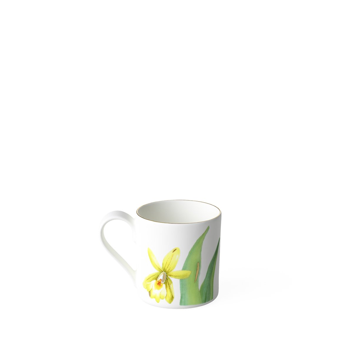 Tasse À Expresso AMAZONIA couleur unique, VILLEROY & BOCH SIGNATURE