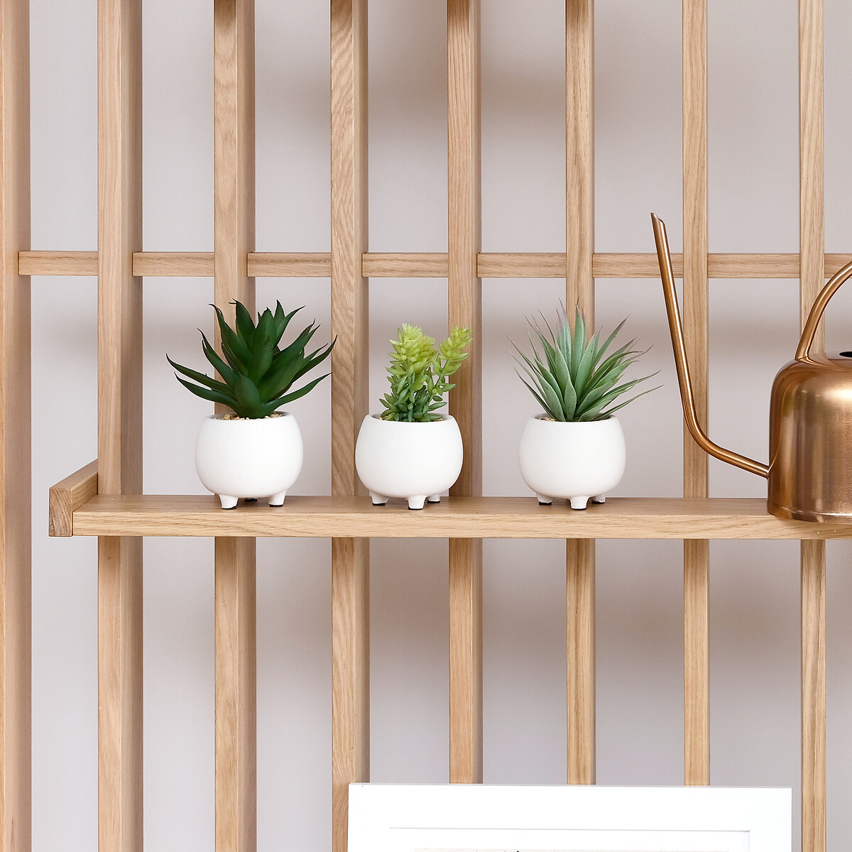 Set of 3 15cm Succulents in Cement Pot green, SO'HOME