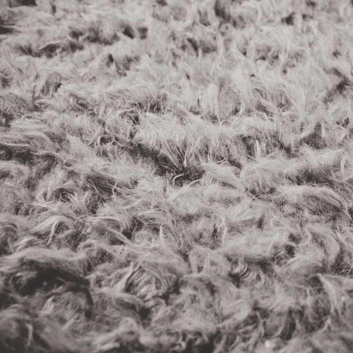 Tapis tout doux imitation fourrure AUTHENTIK gris clair, THE DECO FACTORY
