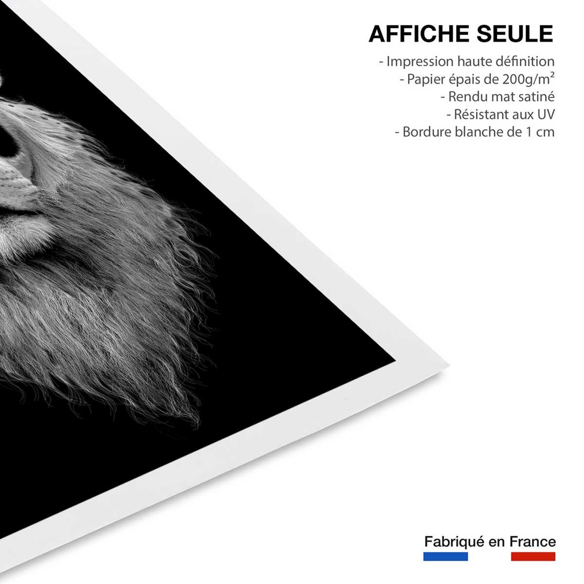 Affiche enfant le pandalion affiche seule, HEXOA