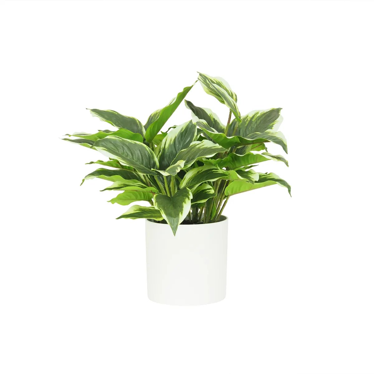 Dieffenbachia artificiel 40cm vert, LIGNE DECO