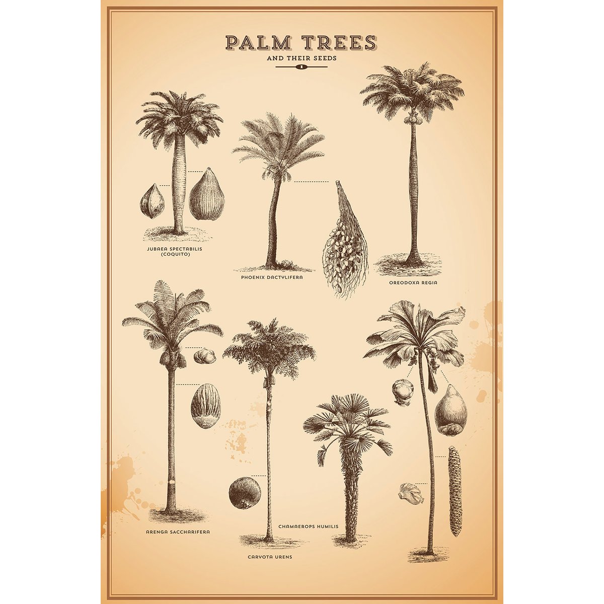 Tableau vintage herbier tropical toile imprimée, HEXOA
