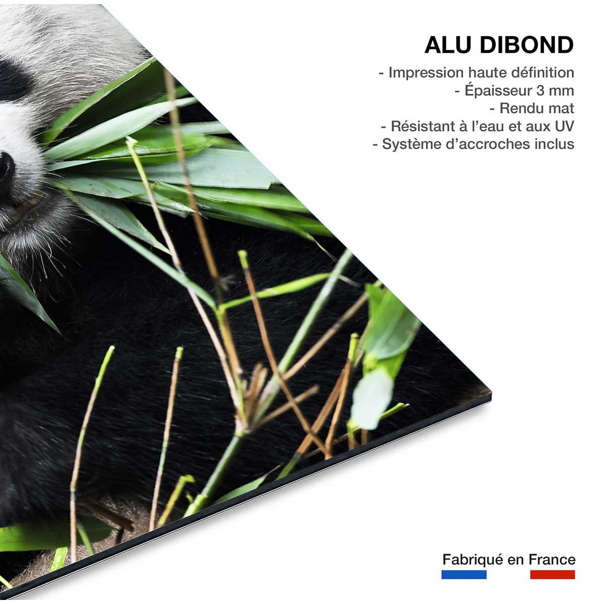 Tableau regard de panda tableau alu dibond, HEXOA