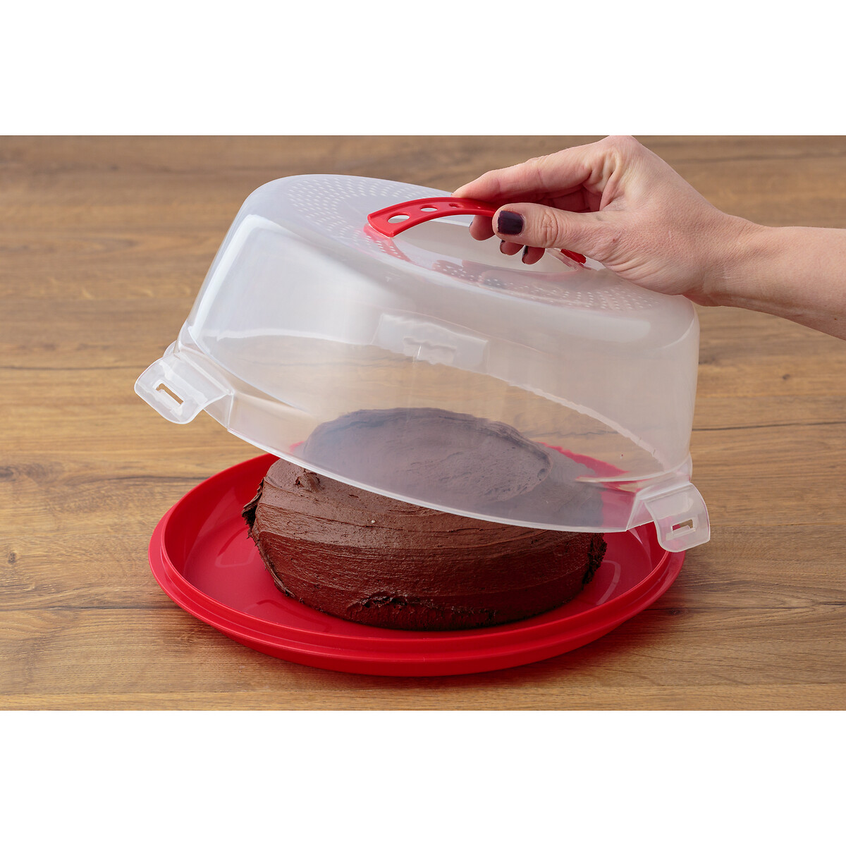 Cake Caddy transparent, MASON CASH