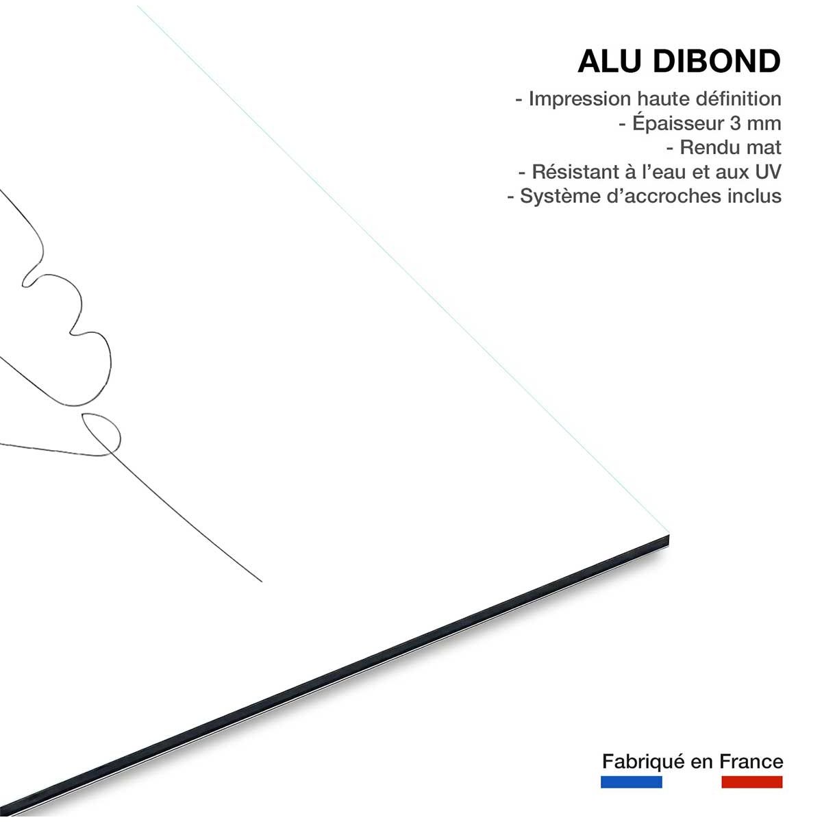 Tableau plume en croquis tableau alu dibond, HEXOA
