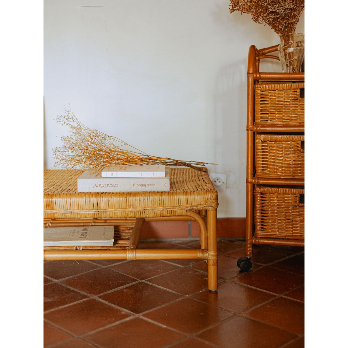 Table basse en osier et surface en cannage Léonie N°1074 - Bon état bois clair, DEBONGOUT