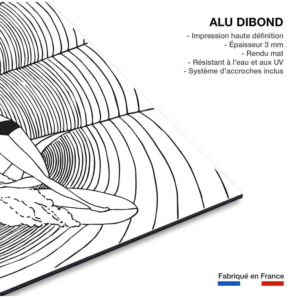 Tableau surfeuse tableau alu dibond, HEXOA