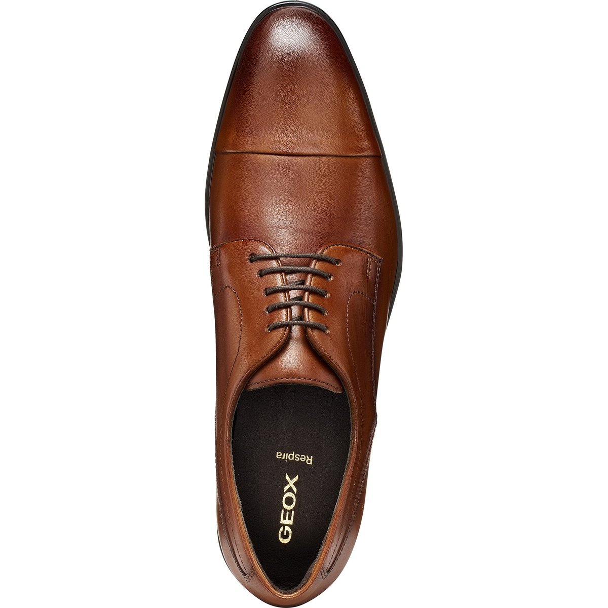 Derbies U THALOS cognac, GEOX