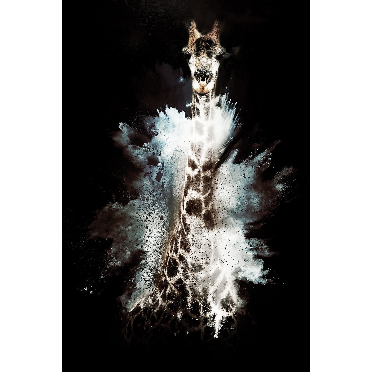 Tableau wild explosion girafe tableau alu dibond, HEXOA